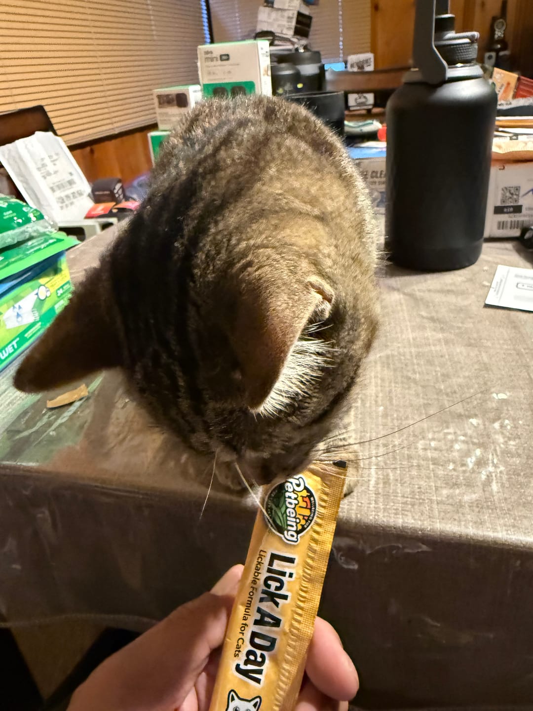 Customer photo review of Lick a Day | Mix Flavor Chicken & Tuna | Specially Formulated 7-in-1 Functions Daily Real Meat Lickable Cat Treats | Tasty Cat Puree Squeeze ups for Cats & Pet Vitamins Combination (Pack of 28 Sachets)