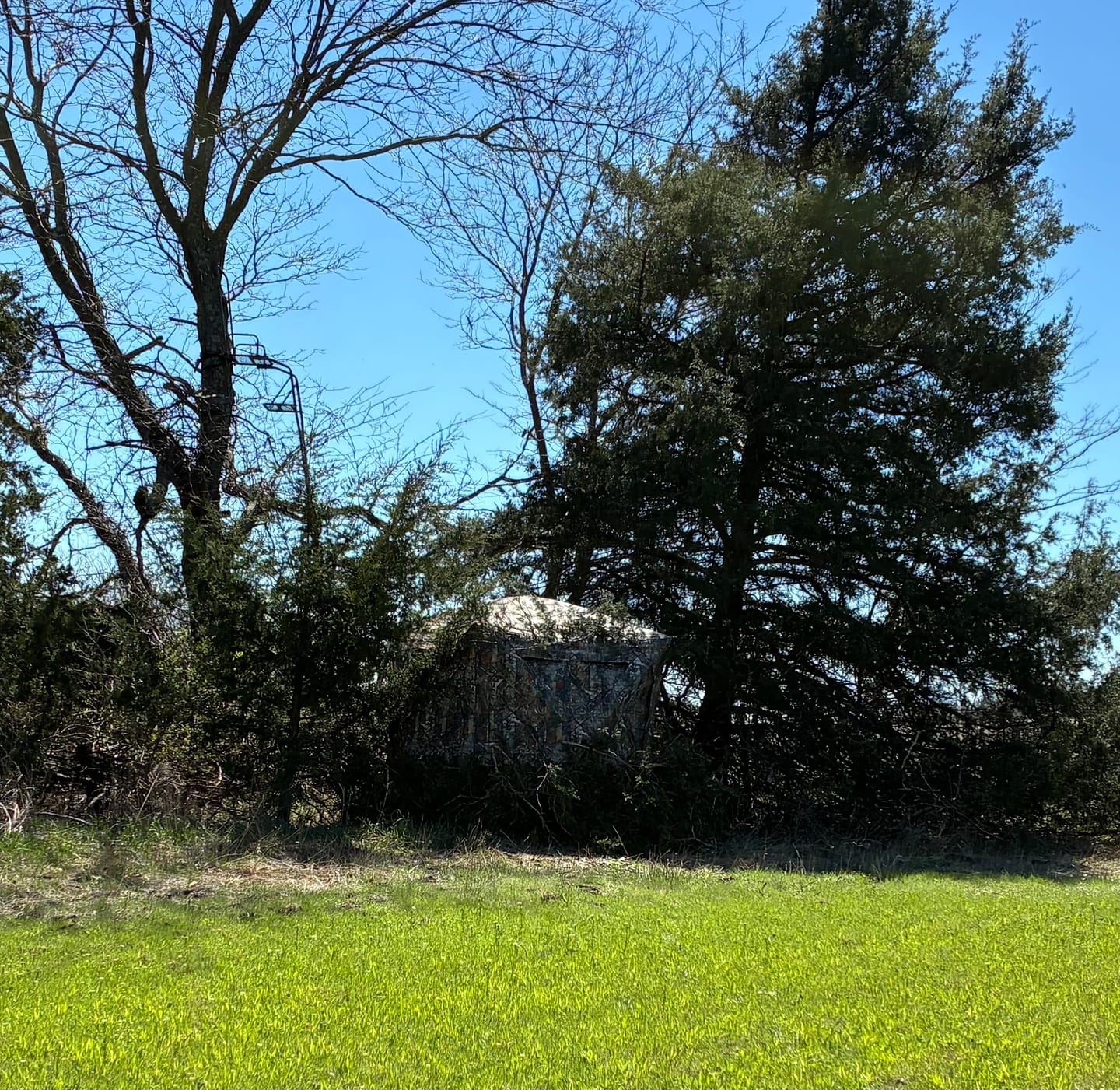 Customer photo review of FLASH SALE VisX/VisMax 270 Degree Ground Blind | See-Through Duck Blind & Portable Pop-Up Deer Blind | Camouflage Hunting Blinds & Best Budget Ground Options