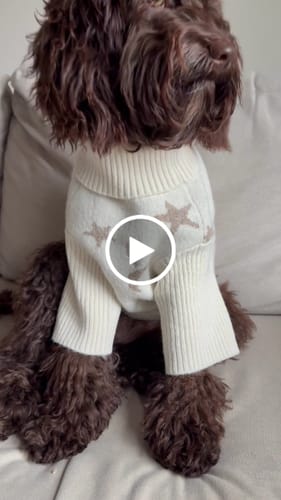 Customer video review of Starry Nights | The Capsule Roll Neck Knit