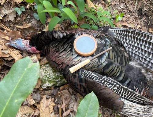 Customer photo review of Crystal Over Slate Pot Call - All Weather