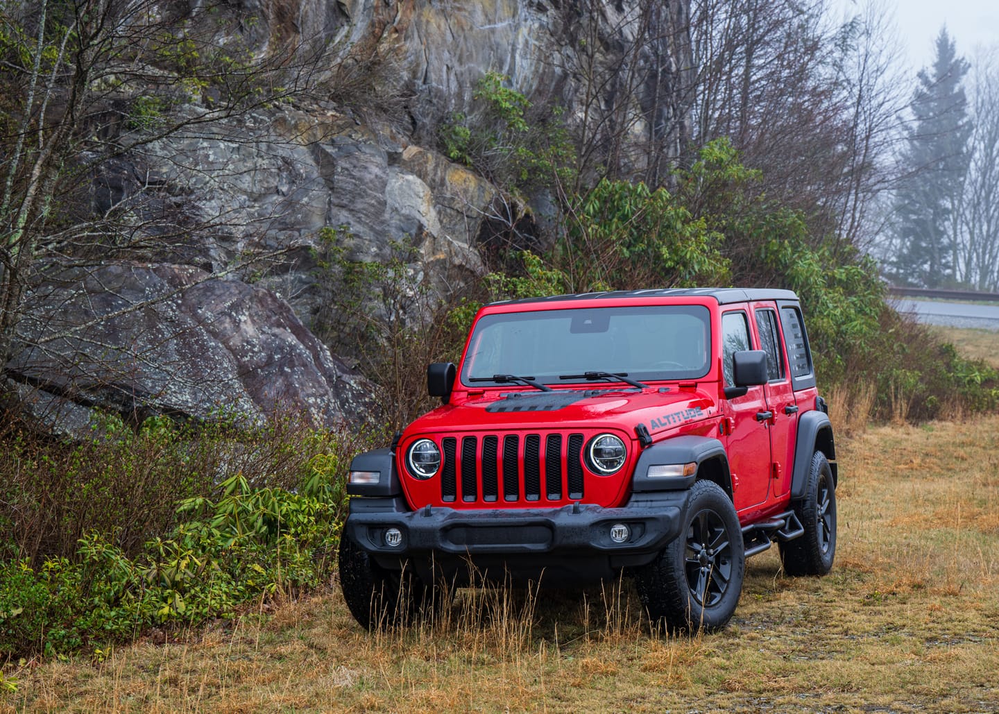Customer photo review of Hood Graphic for RUBICON | Black Flag - fits Wrangler JL & Gladiator JT