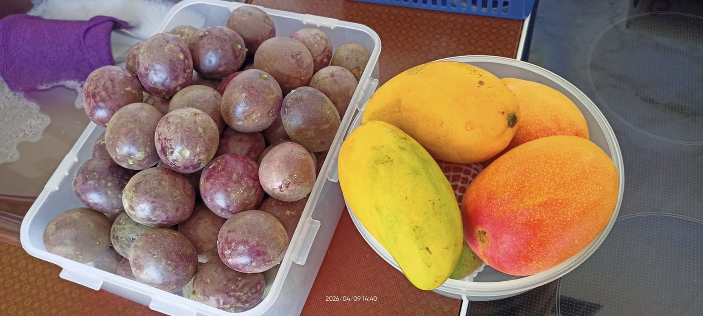 Customer photo review of Mango-Trio Mix-Box 2kg Sonderaktion %
