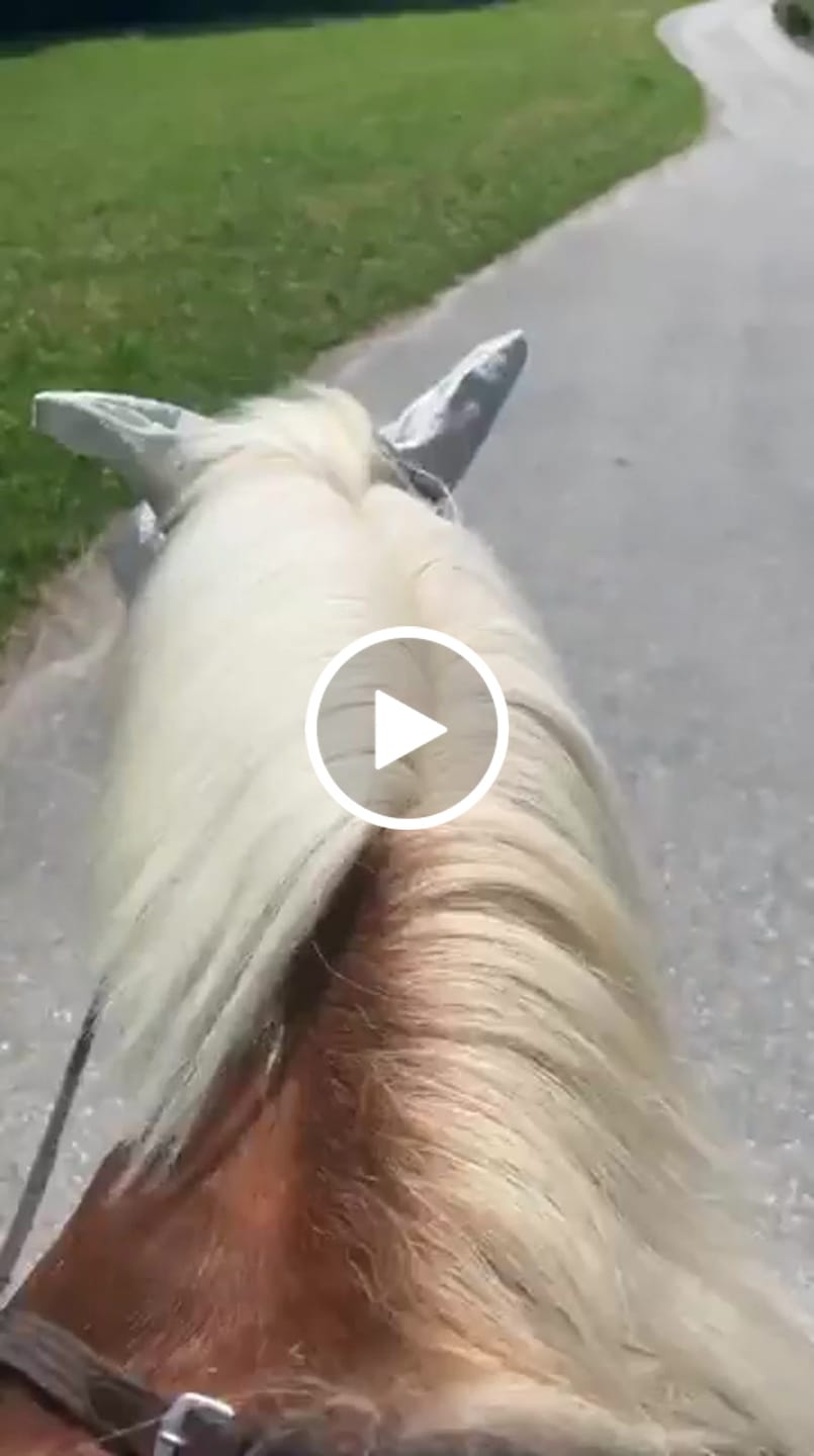 Customer video review of Kristallkraft Femmina