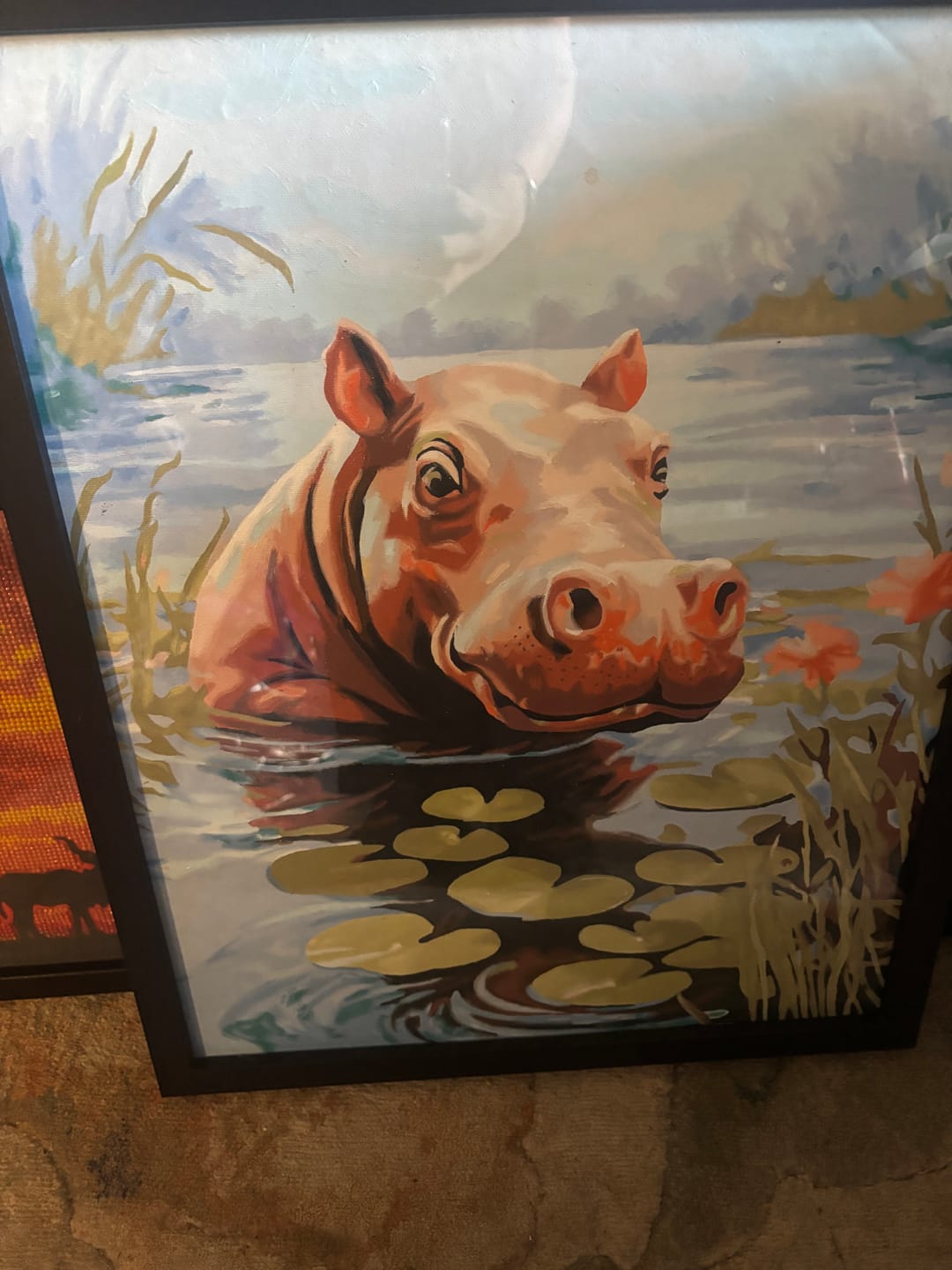 Customer photo review of Young Hippo