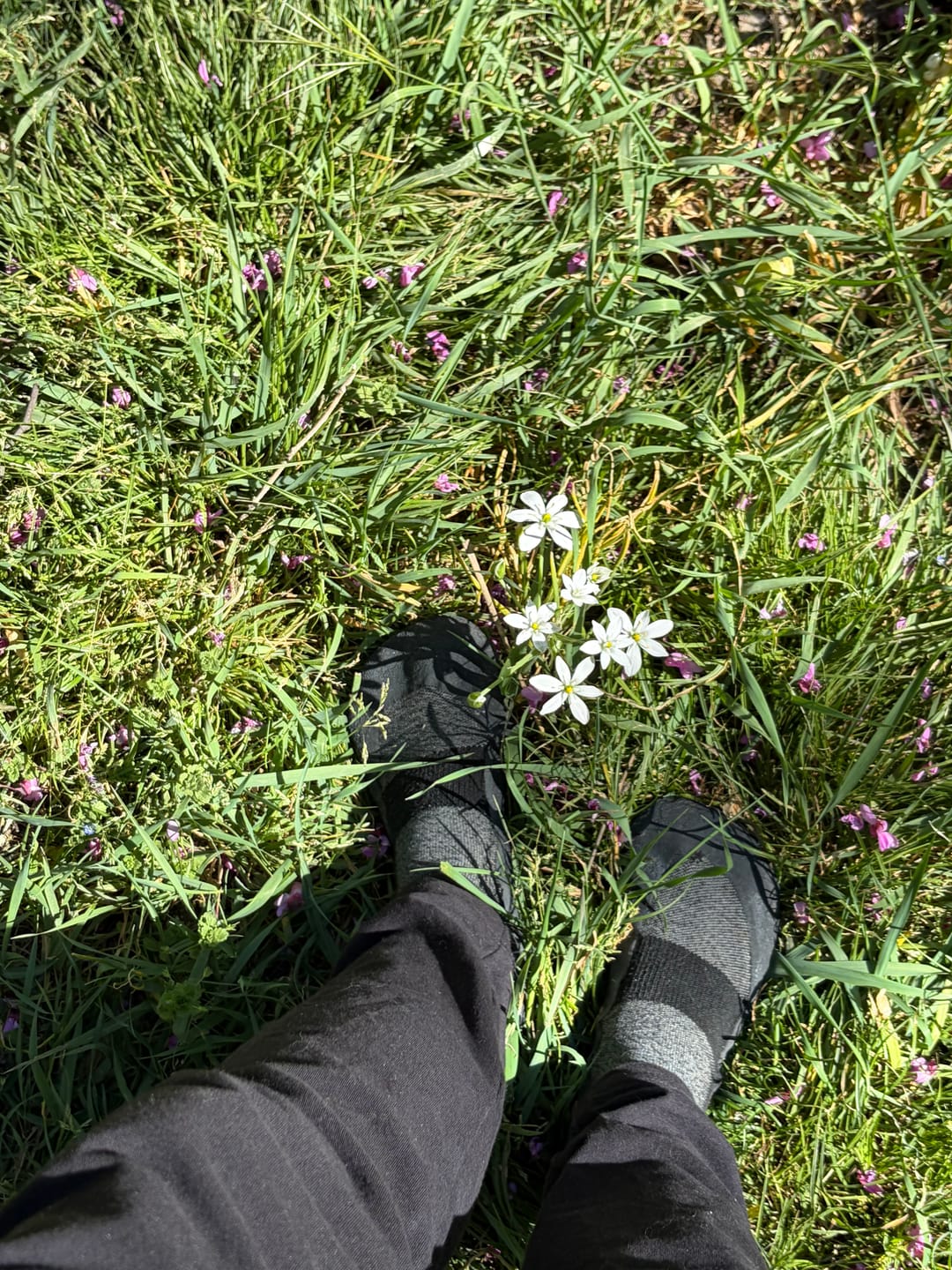 Customer photo review of Baresocks 2.0