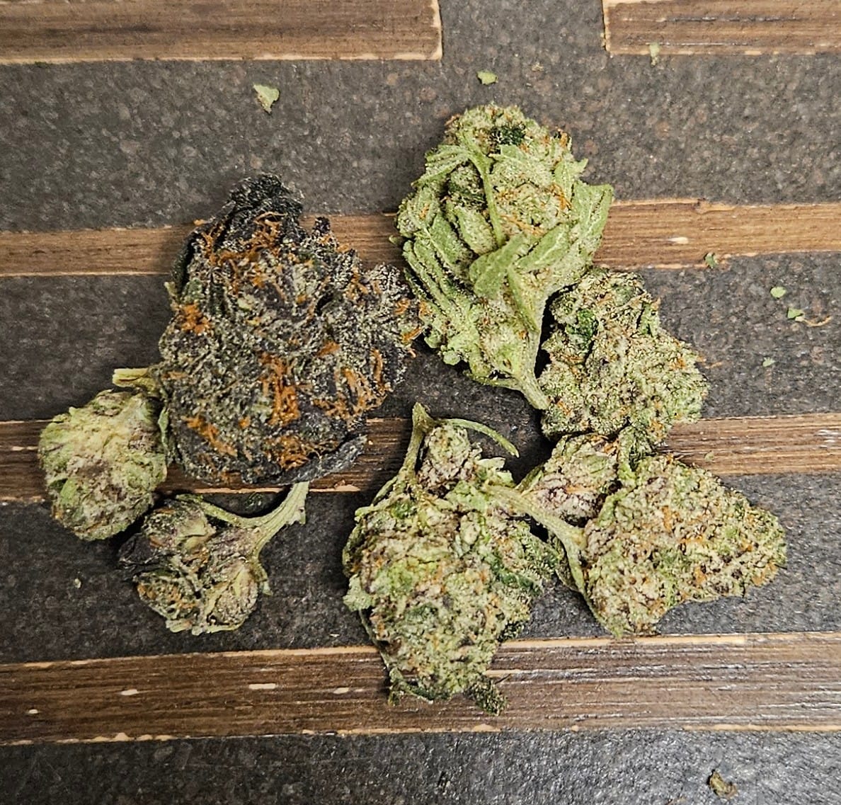 Customer photo review of Value Indoor Smalls