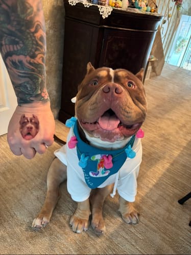 Customer photo review of Standard Personalized Dog Party Pack