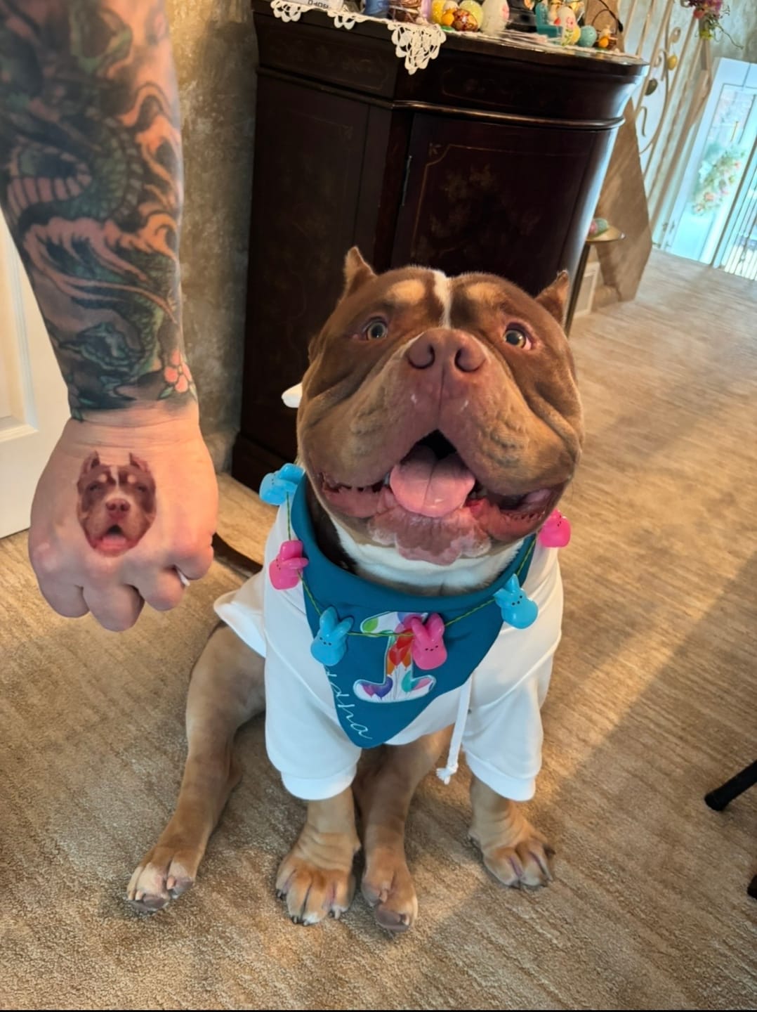Customer photo review of Standard Personalized Dog Party Pack
