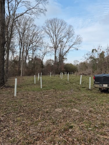 Customer photo review of Tree Pro Grow Tubes