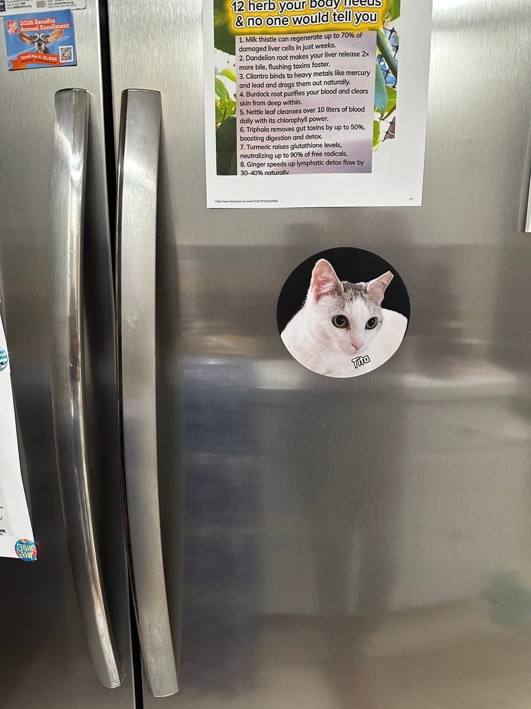 Customer photo review of Your photo - Personalized Car Magnet