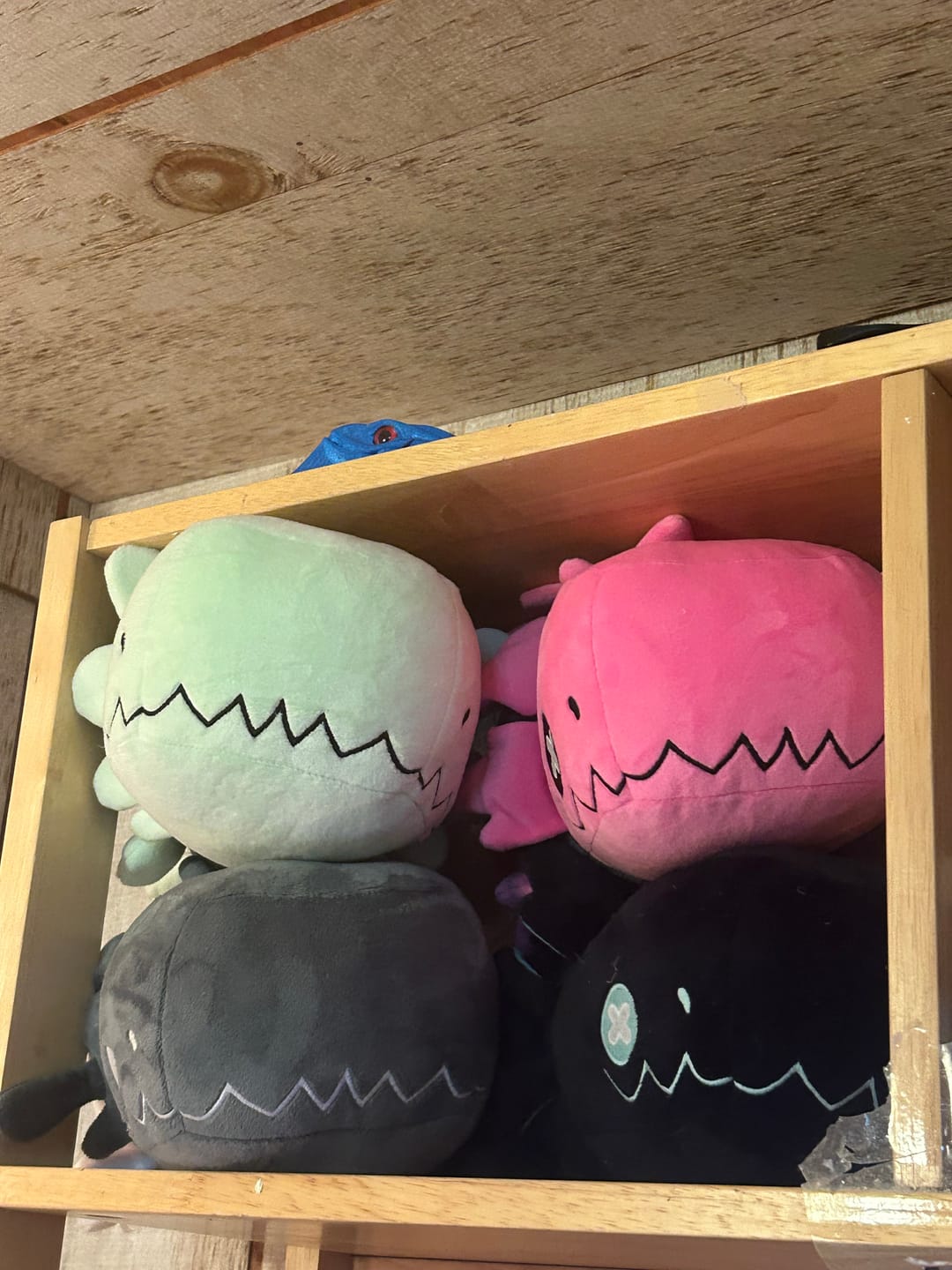 Customer photo review of Rain World - Glowing Cyan Lizard Plush