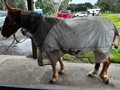 Customer photo review of LE Defender Anti-Insect Fly Rug
