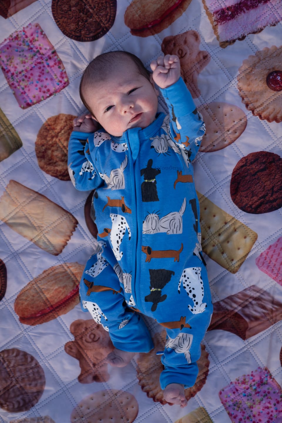 Customer photo review of PRE-ORDER  🍪 🇦🇺☀️ Aussie Cookie Picnic Mat - NEW DESIGN!