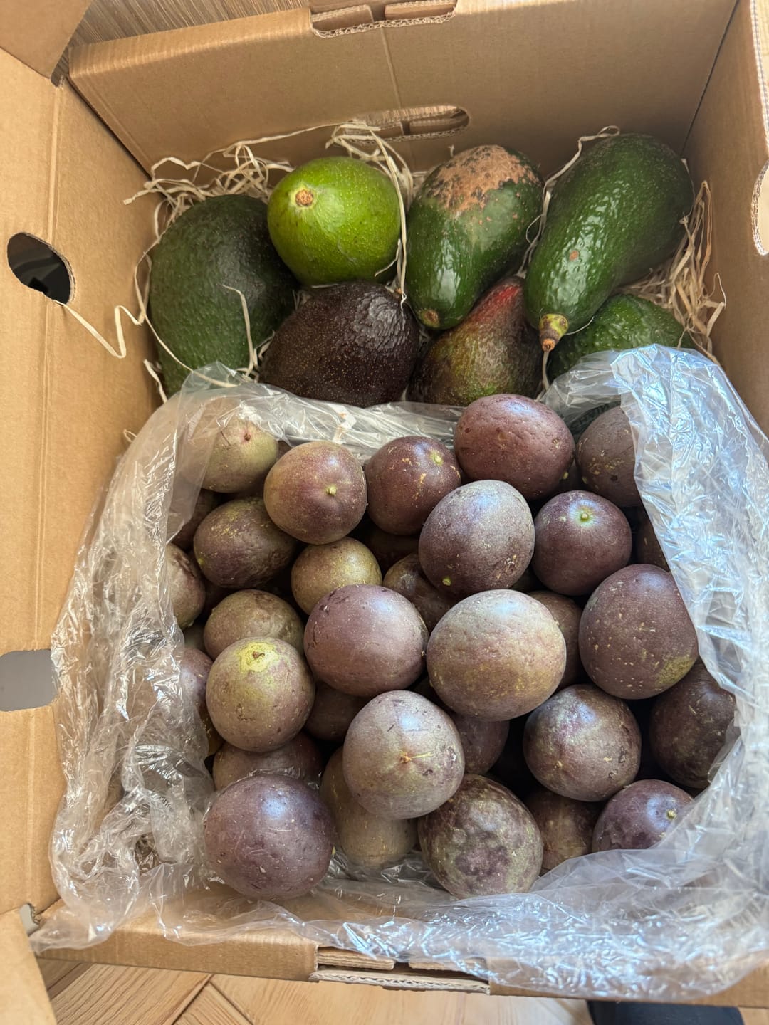 Customer photo review of Avocado-Mix 13 Monate baumgereift Sonderaktion % 2kg Box