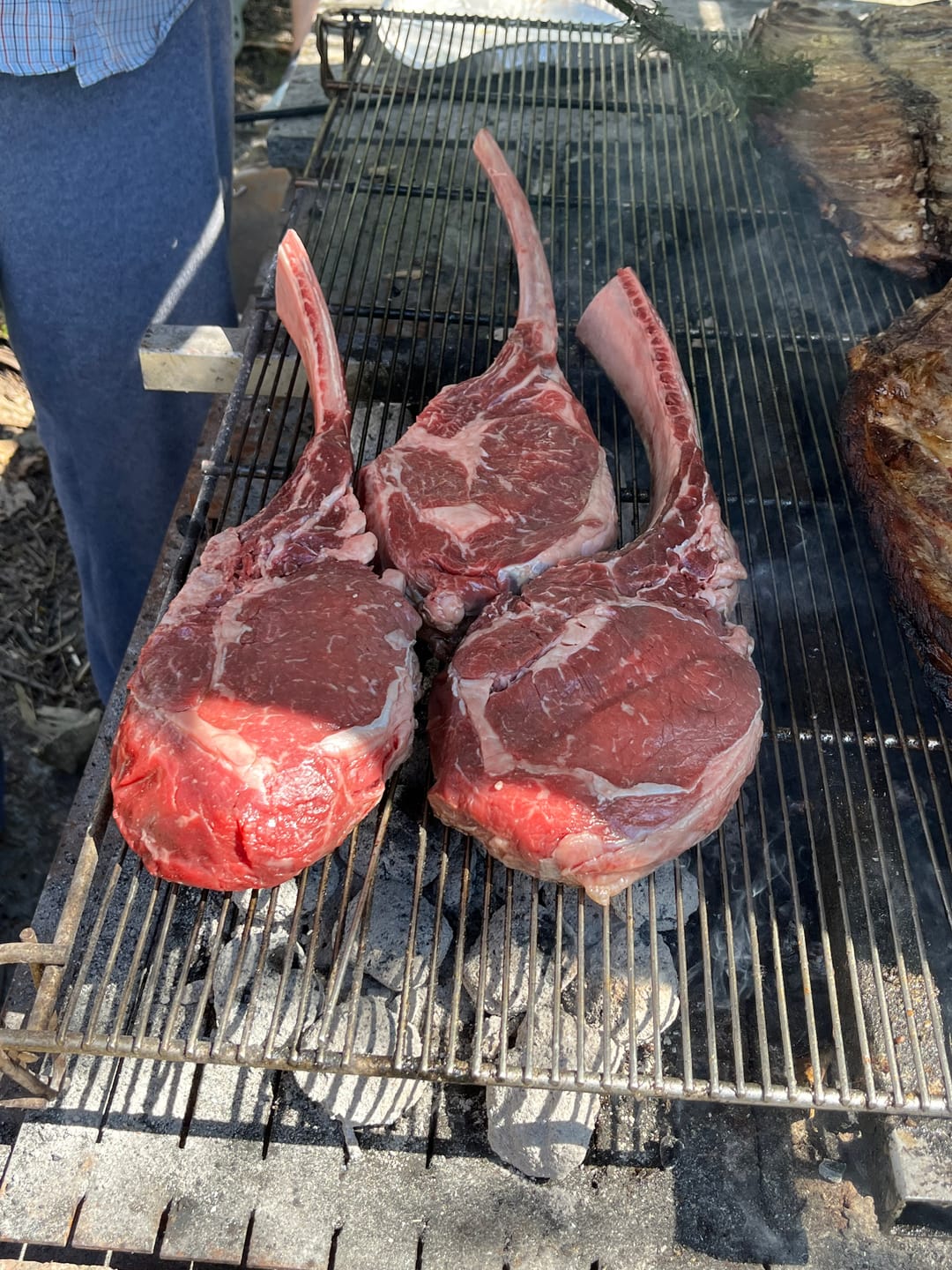 Customer photo review of Tomahawk Di Limousine Grassfed