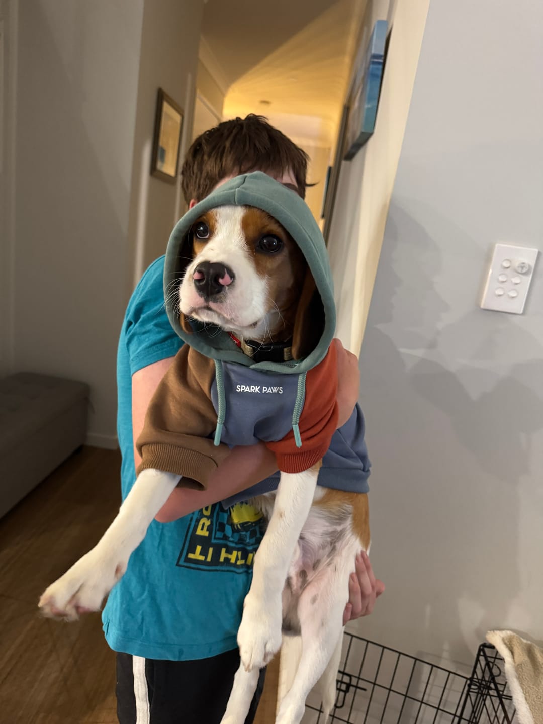Customer photo review of Color Block Dog Hoodies