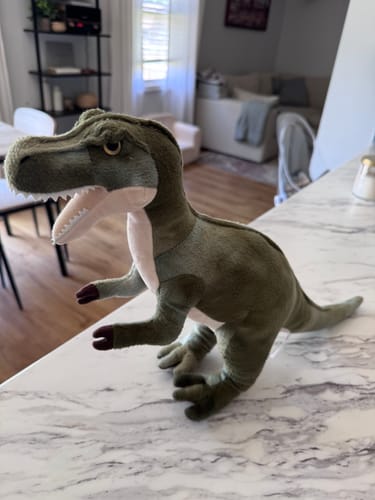 Customer photo review of Green Tyrannosaurus T-Rex Dinosaur Soft Stuffed Plush Toy