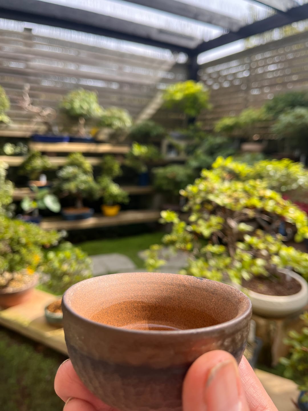 Customer photo review of Yin Zhen Silver Needle Jasmine Tea