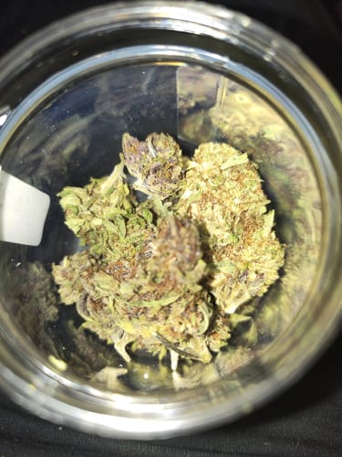 Customer photo review of THCA Queen