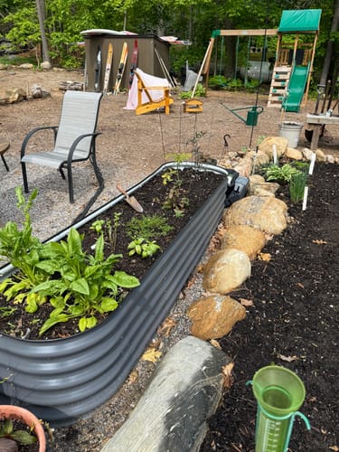 Customer's dark 17” tall modular garden bed planted with young herbs in a backyard.