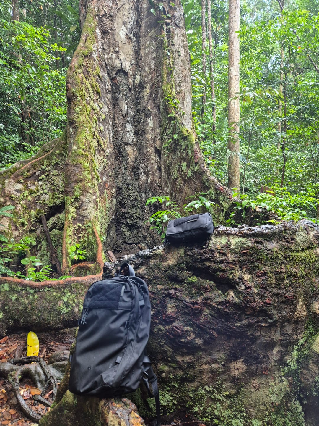 Customer photo review of Kukkaro hip pack