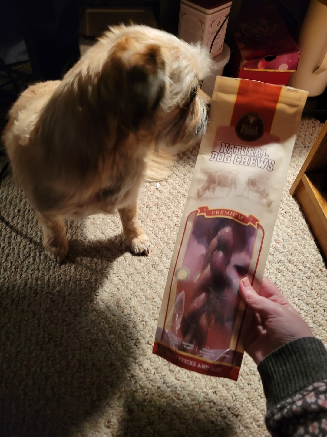 Customer photo review of 12 Inch Standard Braided Bully Stick