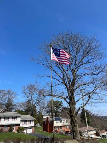Customer's America 250™ Betsy Ross Flag waving on a flagpole in a residential neighborhood on a sunny day.