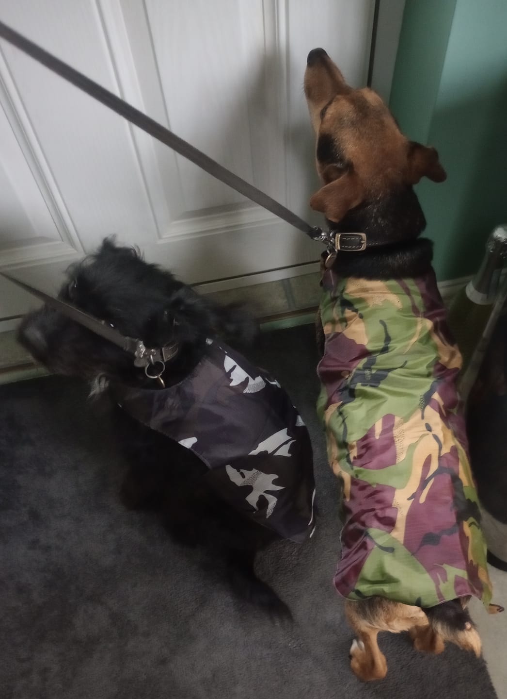 Customer photo review of Water Resistant Camouflage Ripstop Fabric