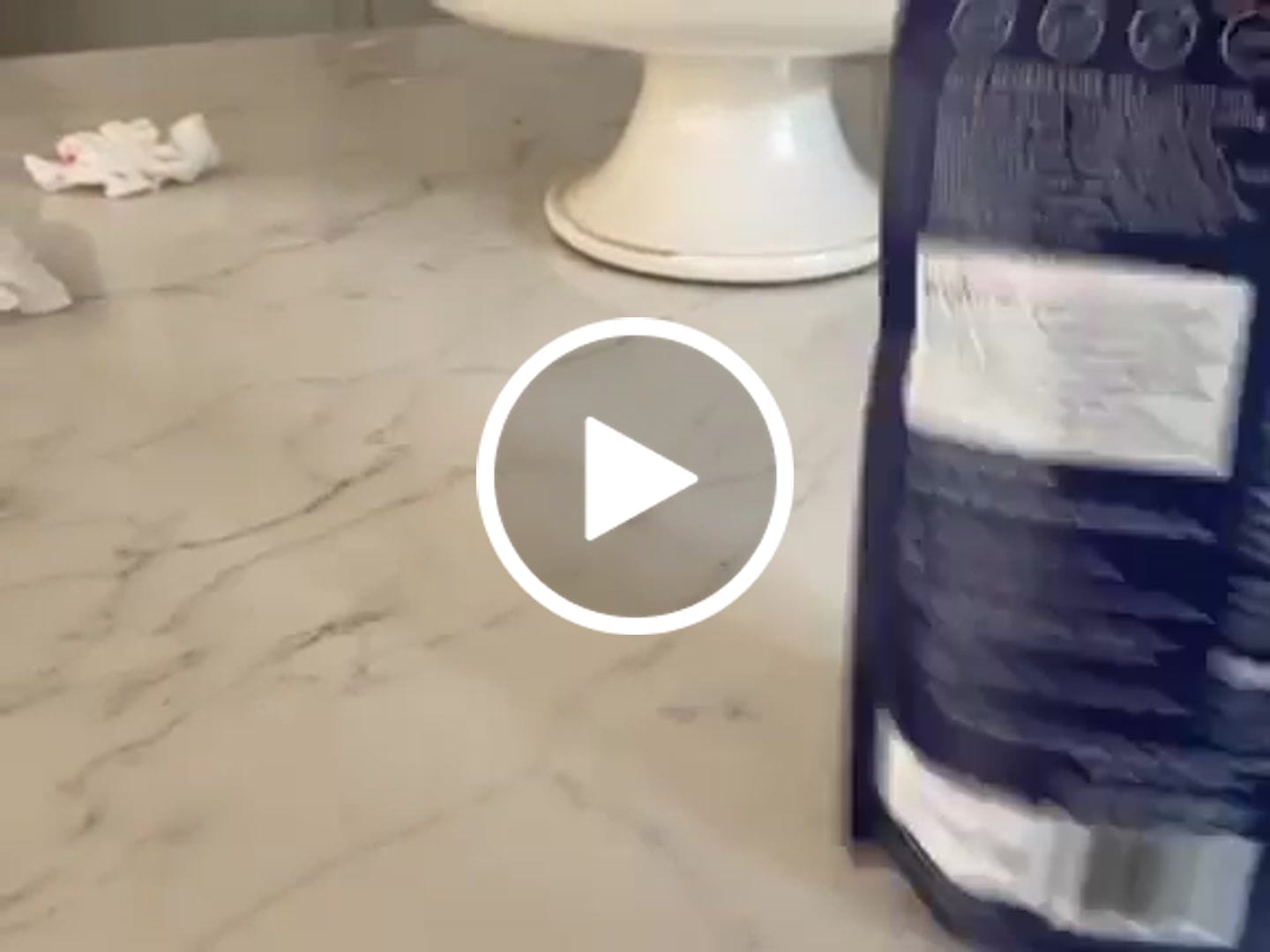Customer video review of Wild Blueberry Powder