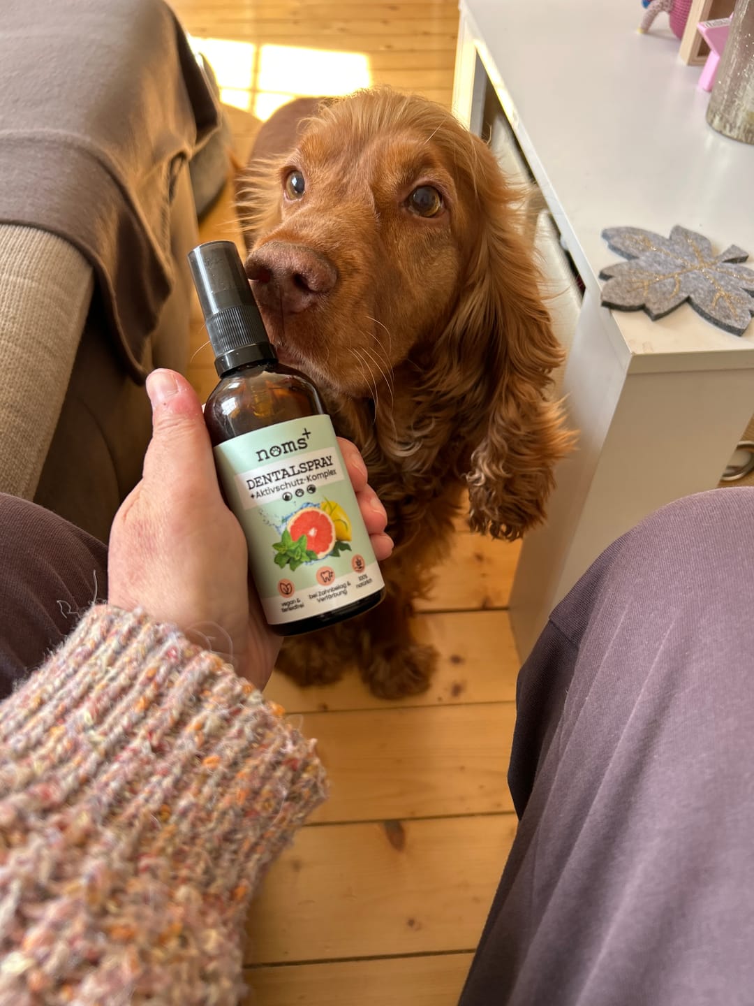 Customer photo review of Dentalspray bei Zahnstein für Hunde und Katzen