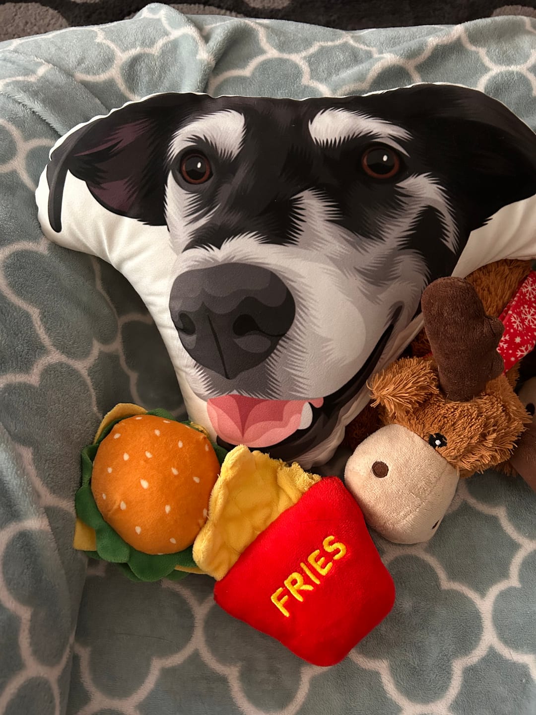 Customer photo review of Custom Shaped Pet Portrait Pillows