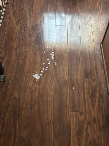 Customer photo review of Natural Based Cleaner - 3 scents