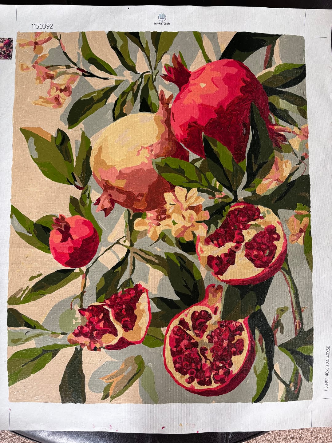 Customer photo review of Blooming pomegranates | Paint by Number