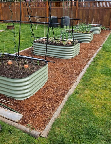 Customer's four light green 17” Tall Modular 9 in 1 beds installed in a row in a garden, filled with growing plants.