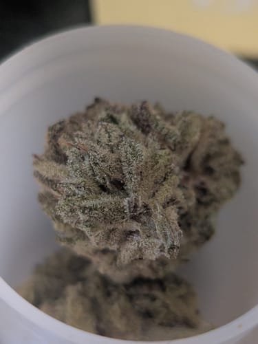 Customer's close-up of a dense, frosty Gary Payton flower bud inside a white jar.