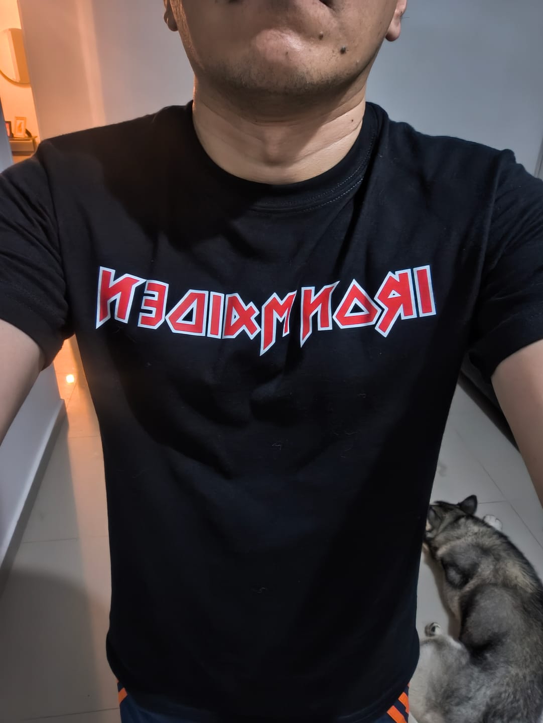 Customer photo review of Camiseta Algodon Iron maiden Logo