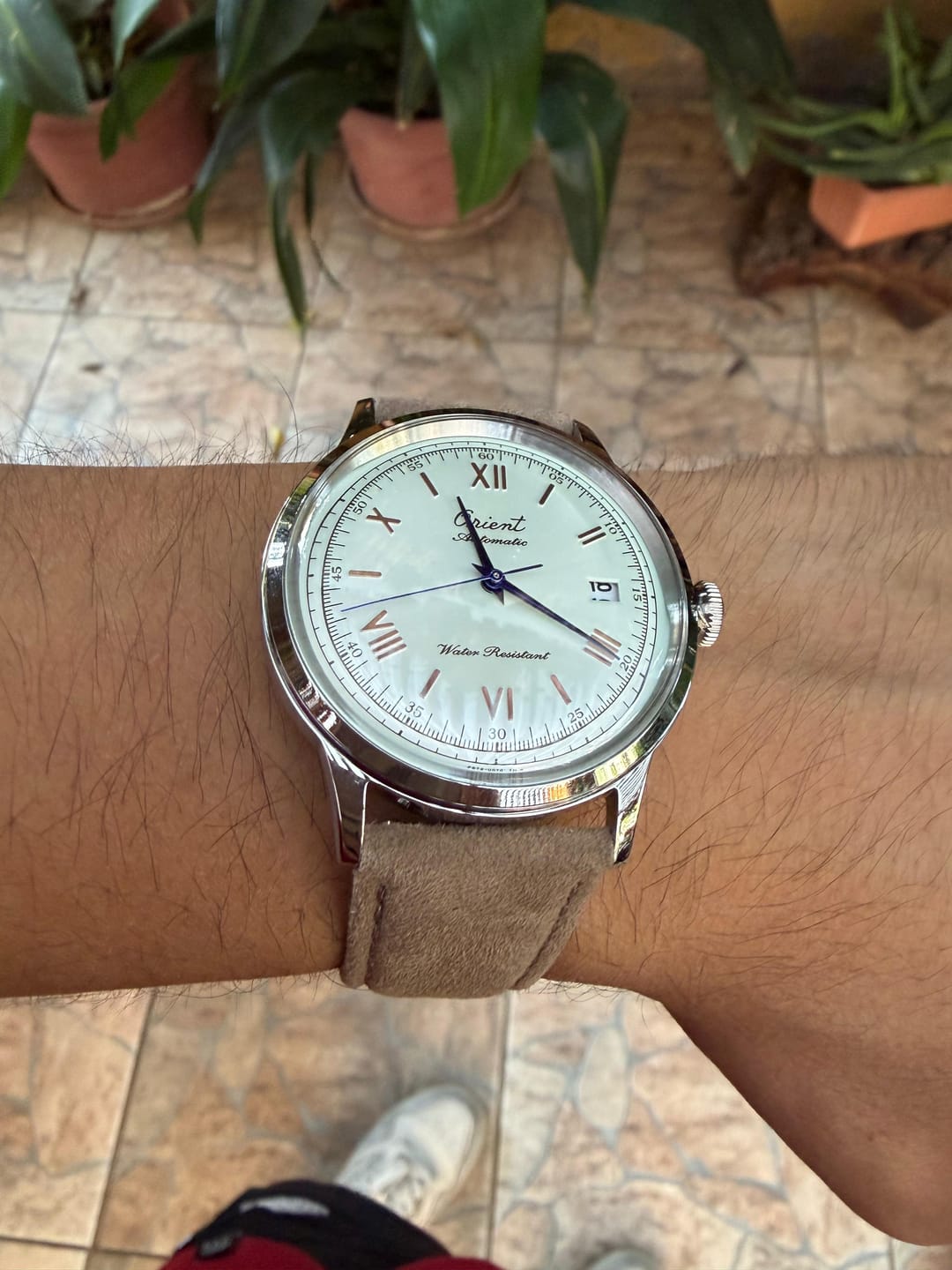 Customer photo review of Reloj Orient RA-AC0027S Bambino 40.5mm Automático [75th Edición Limitada]