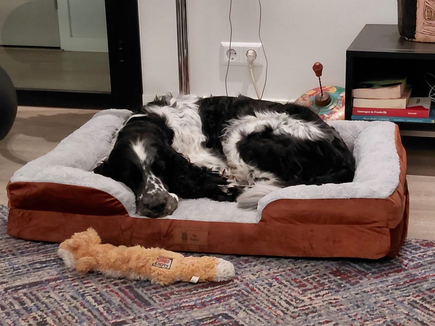Customer photo review of Pet Perfect Orthopedische Hondenmand - Model 3