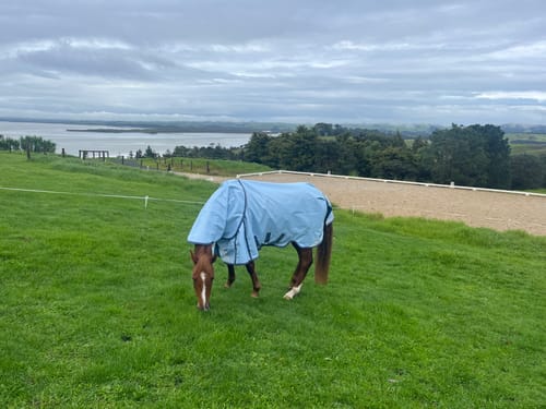 Customer photo review of LE Boxter Turnout 0g