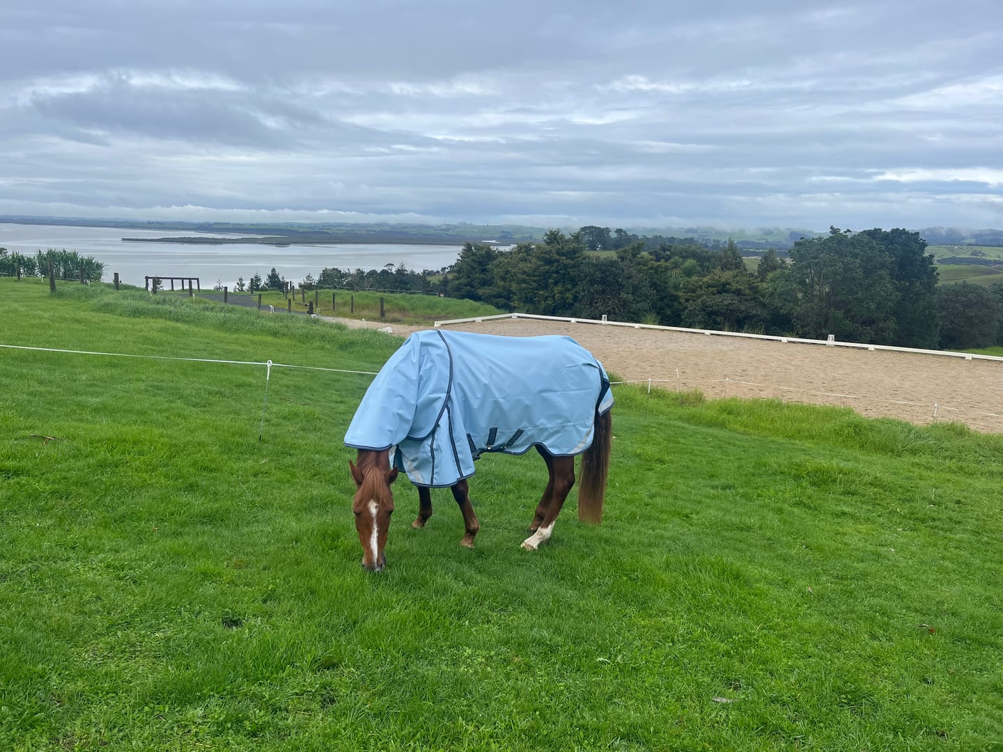 Customer photo review of LE Boxter Turnout 0g