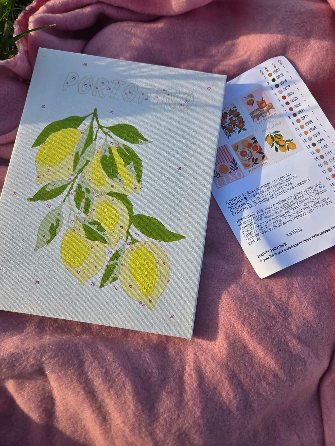Customer photo review of 6 Mini Paintings - Italian Fruit & Drinks Set
