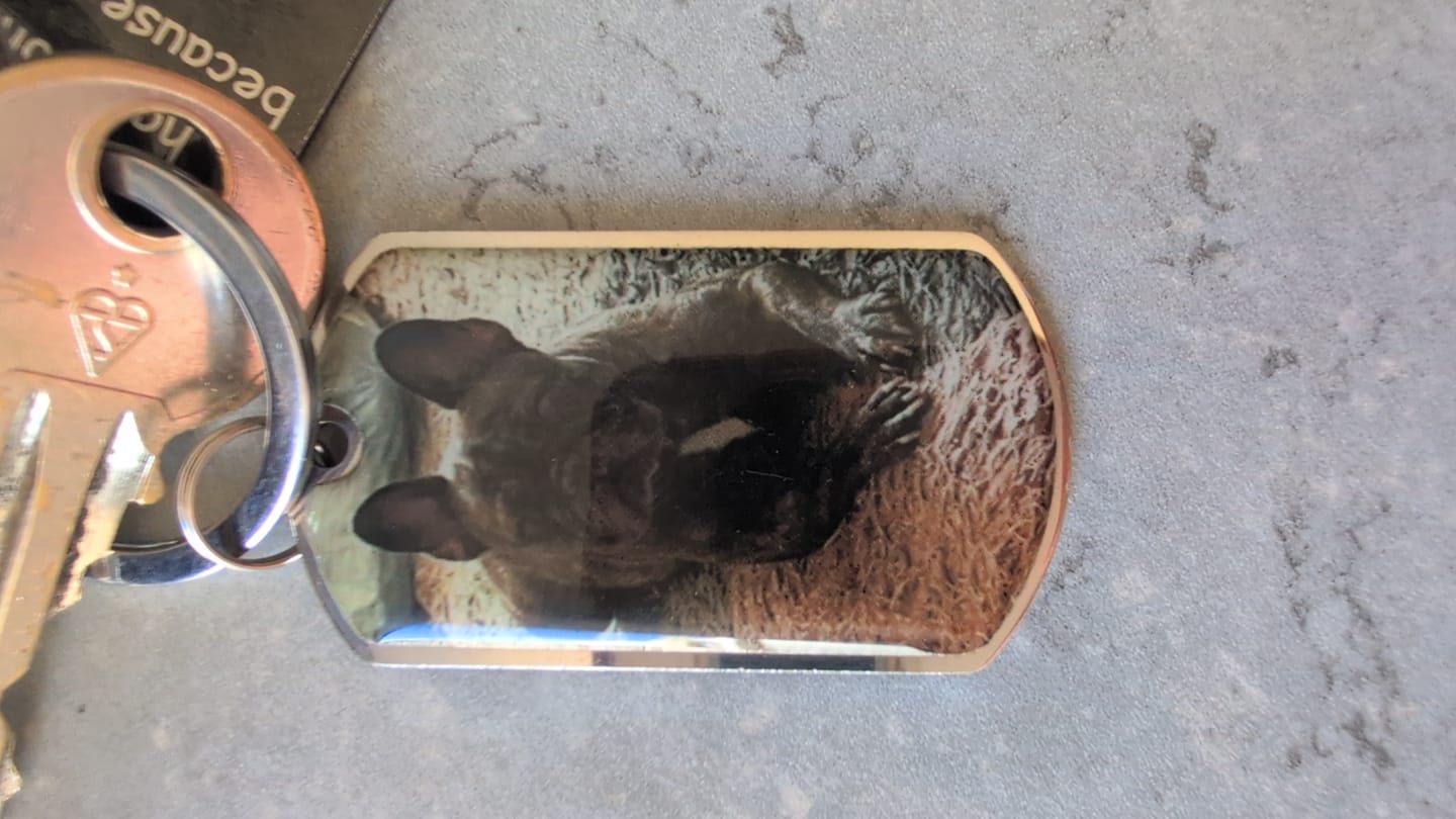 Customer photo review of Personalized Pet Keychain