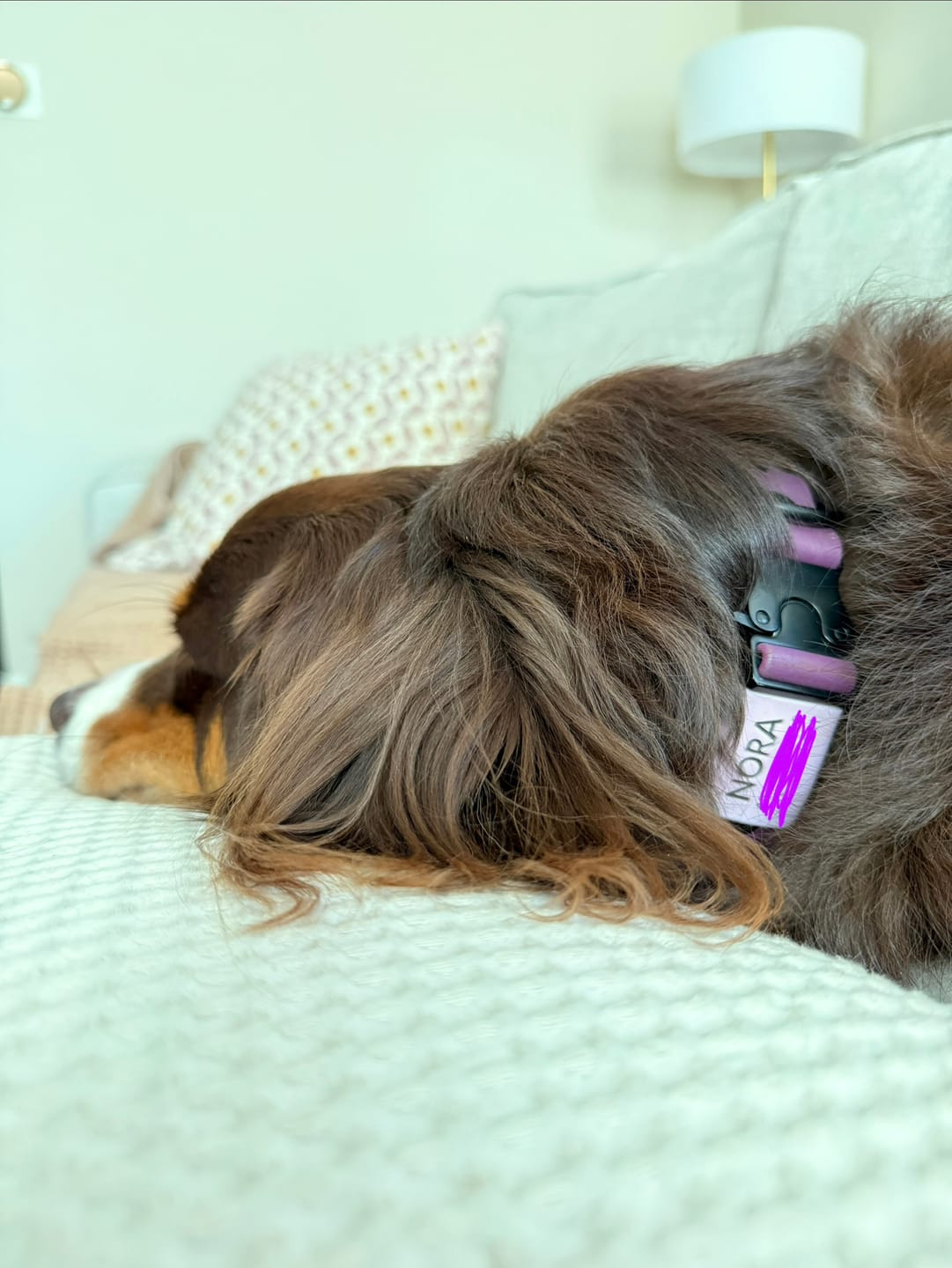 Customer photo review of Silent Slide-On ID Tag : 1"