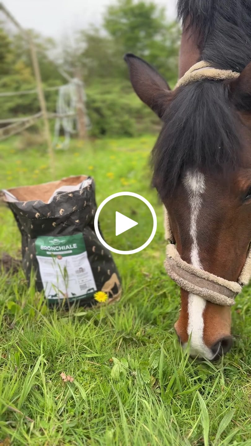 Customer video review of Kristallkraft Bronchiale