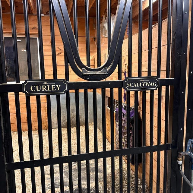 Customer photo review of Personalized Horse Stall Name Plate – Gold on Black Layered Wood Sign (Single Name)