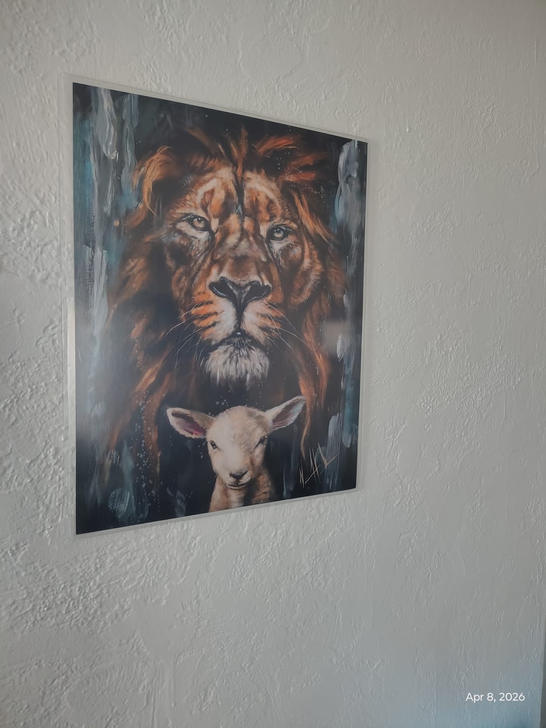 Customer photo review of The Lion and Lamb Passover
