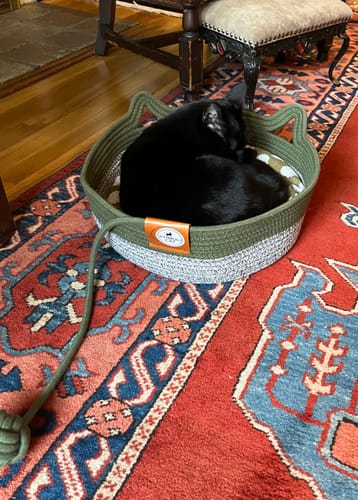 Customer photo review of Instinct Basket | Meet the first research-backed natural territory for indoor cats