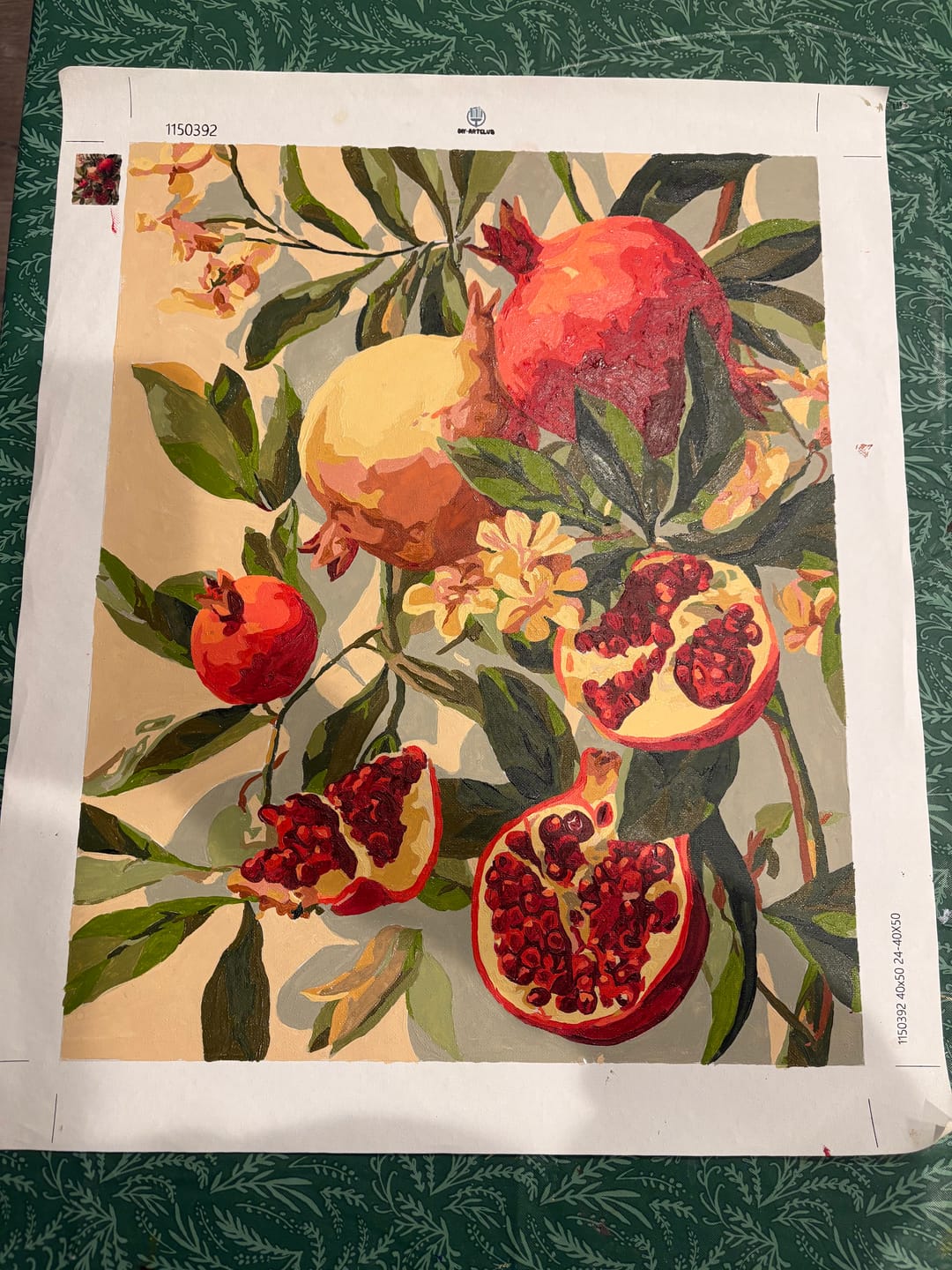 Customer photo review of Blooming pomegranates | Paint by Number