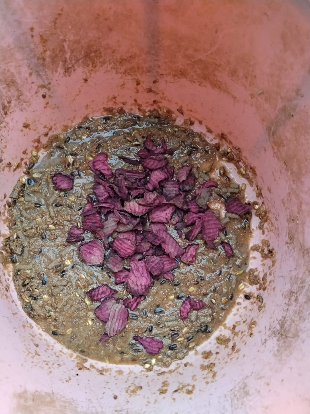 Customer photo review of Rote Beete Chips