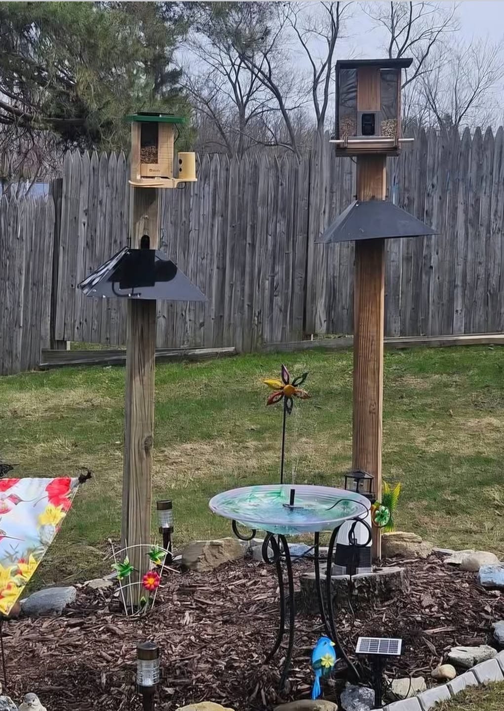 Customer photo review of Birdfy Feeder Wood - Wooden Smart Bird Feeder with Camera